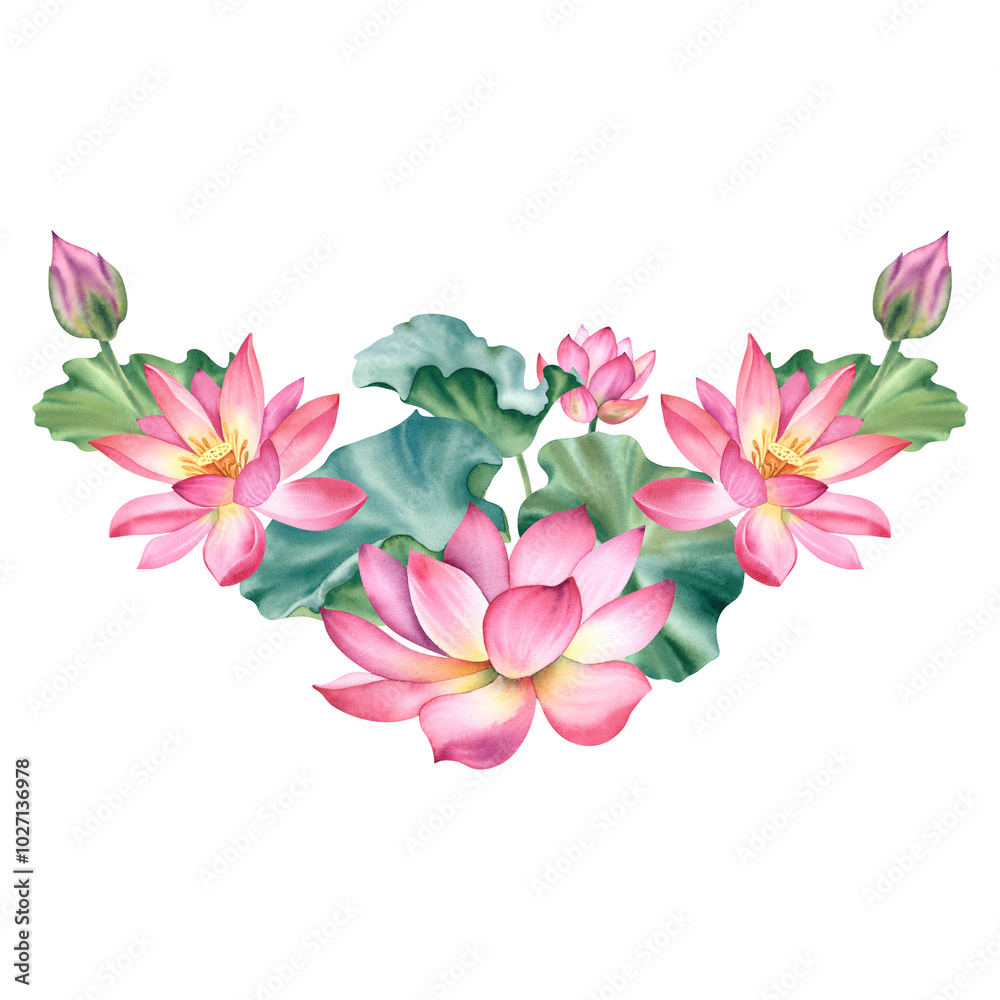 Fototapeta premium A set of pink lotus flowers on an isolated background. The watercolor illustration is hand-drawn. Delicate water lilies for spa, zen design. Clipart for printing postcards.