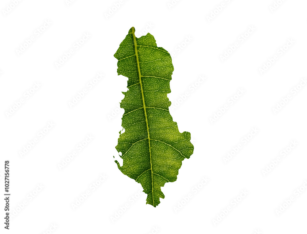 Albania map made of green leaves on white background ecology concept
Albania map made of green leaves on white background ecology concept