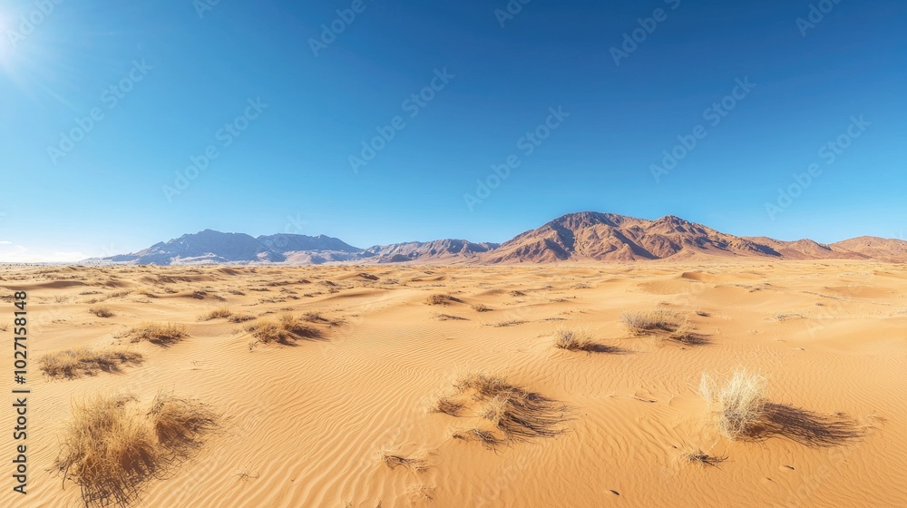 A vast desert landscape with sand dunes under a clear blue sky A vast desert landscape with sand dunes under a clear blue sky