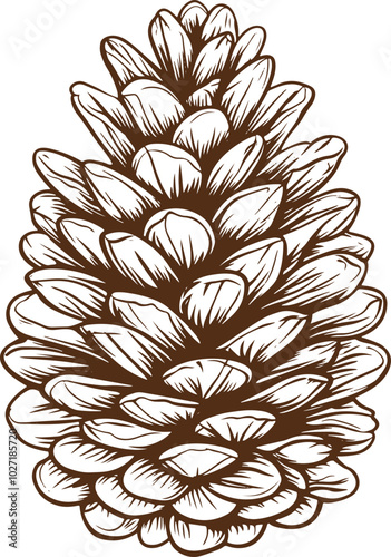 Pine tree cone clipart design illustration