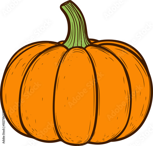 Pumpkin drawing clipart design illustration photo