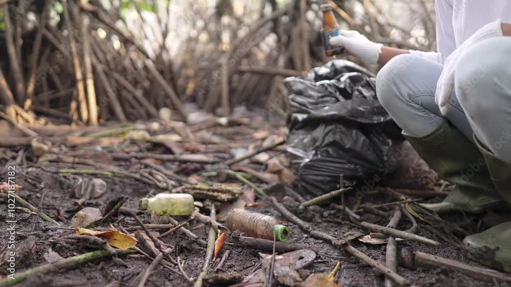 A volunteer picking up marine or river debris in mangrove tree forest, glass and plastic bottle waste in environment, coastal pollution A volunteer picking up marine or river debris in mangrove tree forest, glass and plastic bottle waste in environment, coastal pollution