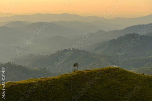 alone tree at Noen Chang Suek, Pilok, Kanchanaburi, Thailand. photo