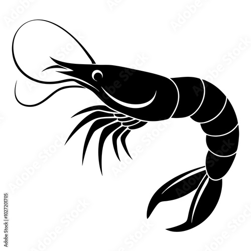 illustration of a cartoon shrimp photo