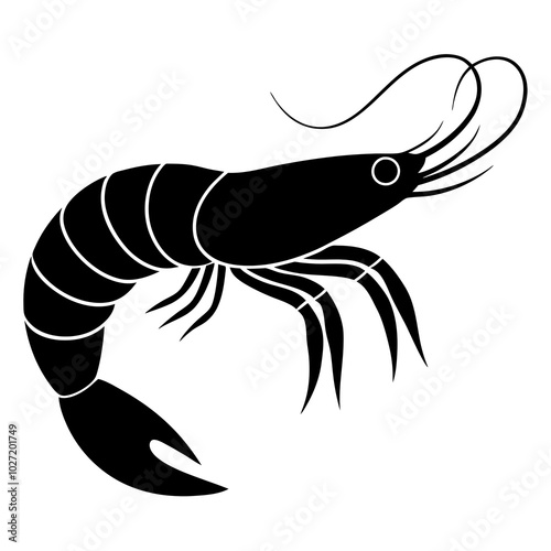 illustration of shrimp