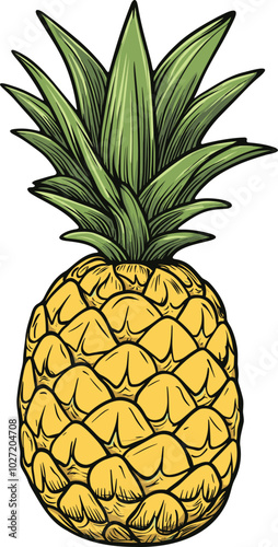 Fresh Pineapple Design Illustration - Tropical Fruit Design