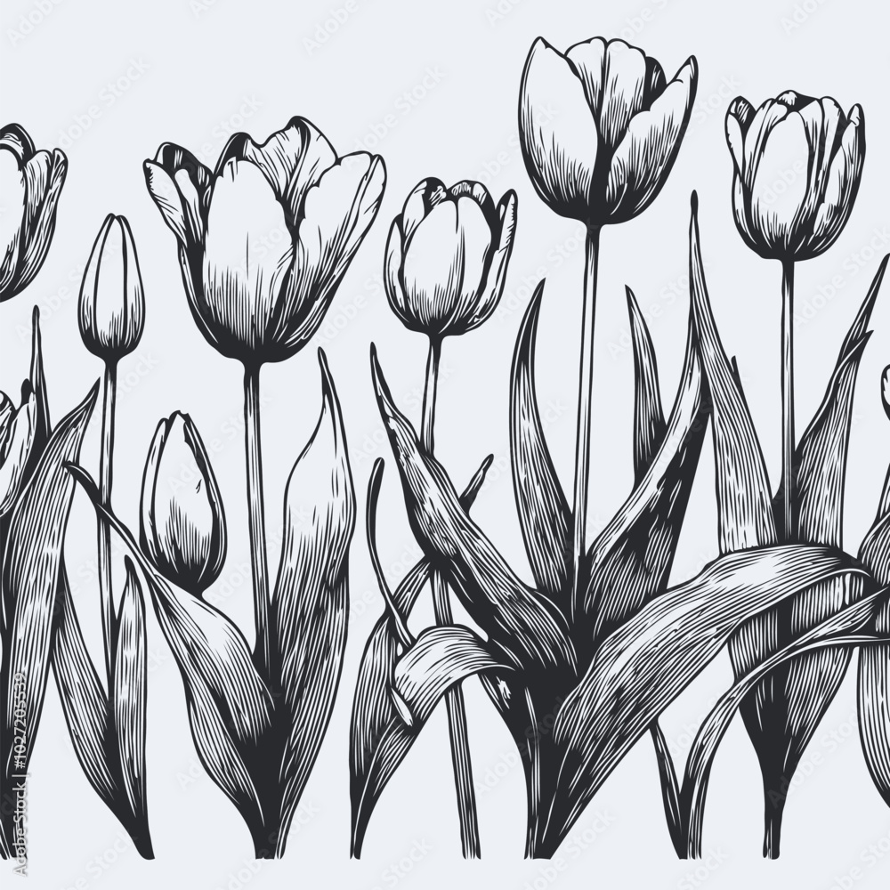 Adobe Illustrator Artwork
set of contour spring flowers
line art floral, leaves
black and white illustration tulip
set of decorative elements of tulips plants