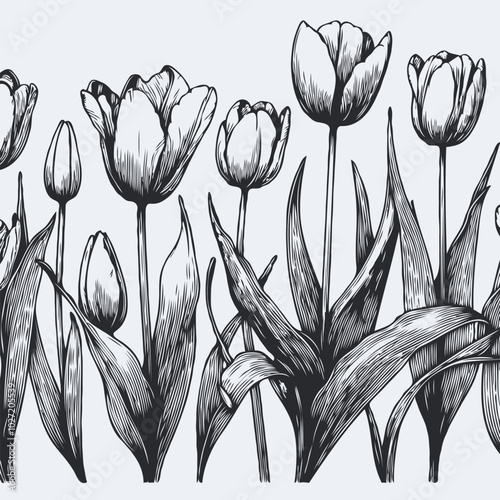 Adobe Illustrator Artwork
set of contour spring flowers
line art floral, leaves
black and white illustration tulip
set of decorative elements of tulips plants