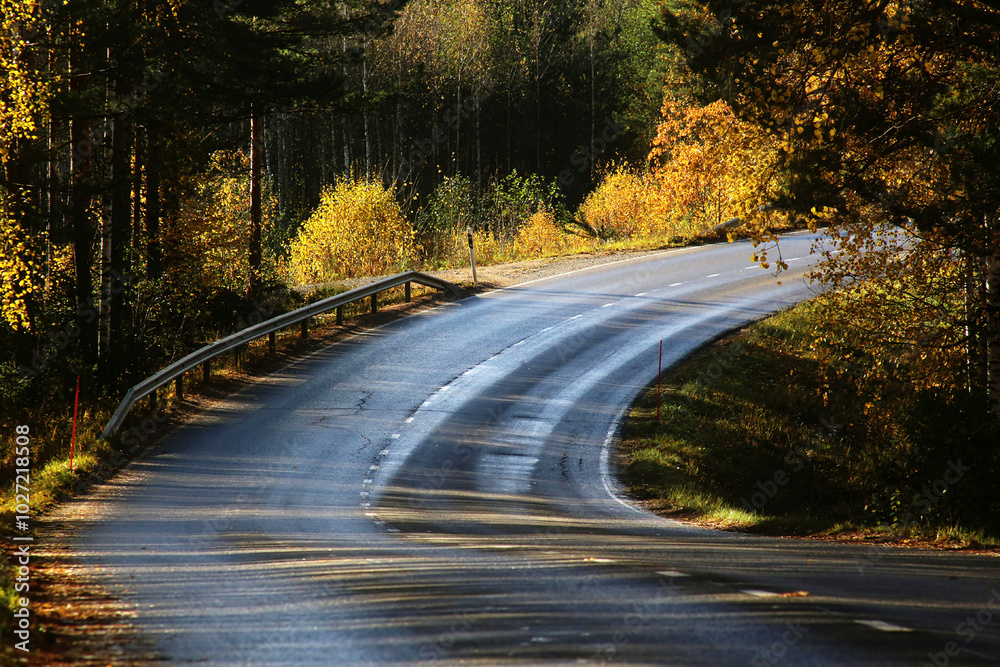 Fototapeta premium Curvy road on the hill with autumn colors at Pertunmaa, Eastern Finland.
