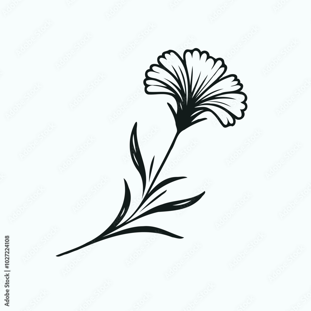 Obraz premium Adobe Illustrator Artwork set of contour spring flowers carnation line art floral, leaves black and white illustration marigolds set of decorative elements of plants Cosmos