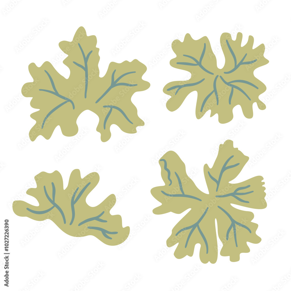 Fototapeta premium Set of geranium. Stylized leaves kit. Vector hand drawn flat collection illustration isolated on white background.