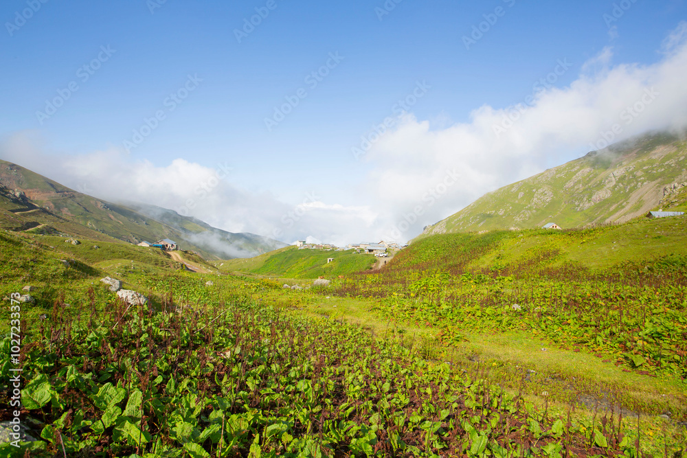 Kaçkar Mountains National Park, natural life and landscape Kaçkar Mountains National Park, natural life and landscape