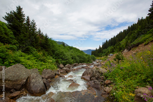 Kaçkar Mountains National Park, natural life and landscape photo