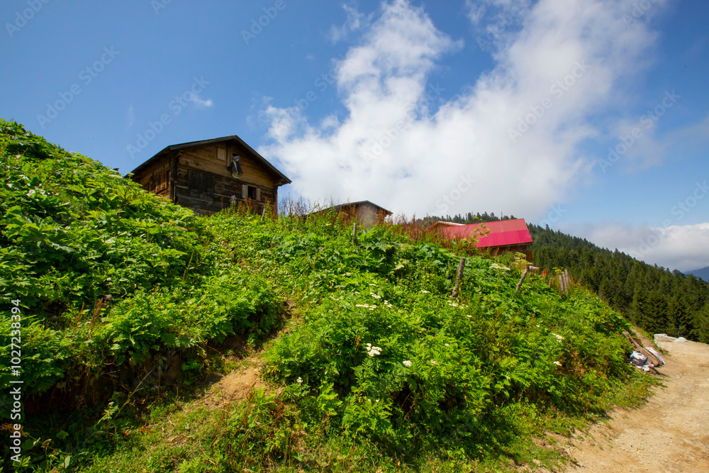 Kaçkar Mountains National Park, natural life and landscape Kaçkar Mountains National Park, natural life and landscape