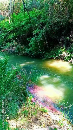 Río Tajuña