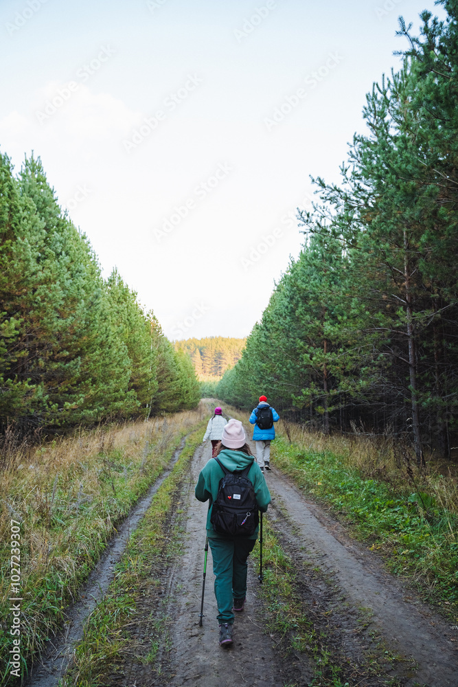 A group of enthusiastic hikers is joyfully exploring a beautiful and scenic forest path while enjoying the wonders of nature all around them A group of enthusiastic hikers is joyfully exploring a beautiful and scenic forest path while enjoying the wonders of nature all around them