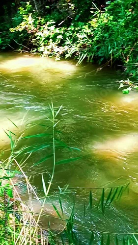 Río Tajuña