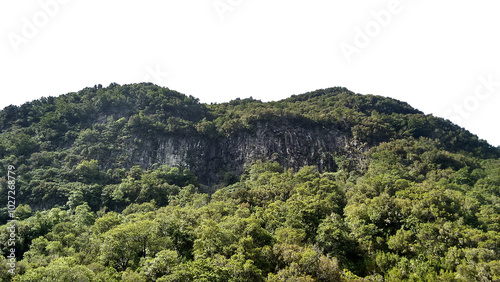 View of tropical forest with rocky mountains on background, Adventure cut out transparent isolated on white background PNG file