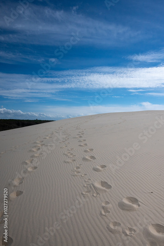 empreintes de pas sur la dune du pylat