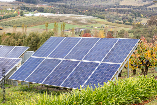 Solar panel in an orchard and vineyard