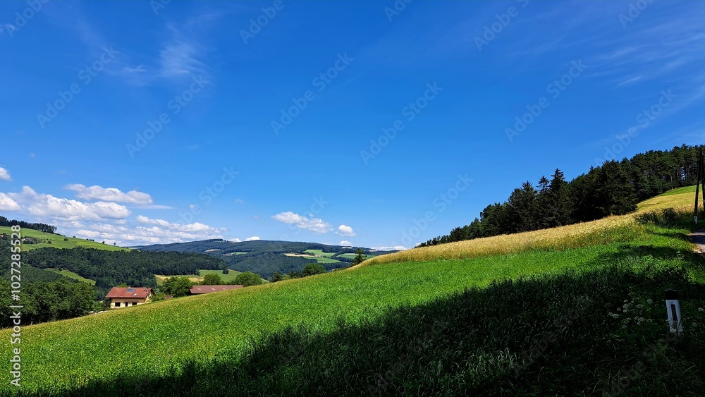 Wanderregion Bucklige Welt Wanderregion Bucklige Welt