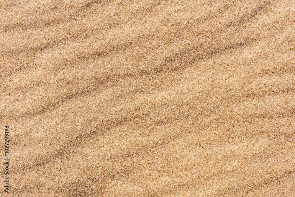 background - ripples on the surface of the sand background - ripples on the surface of the sand