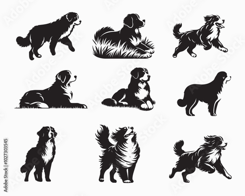 Collection of Bernese Mountain Dog vector illustration - Bernese Mountain Dog Silhouette Clipart Design