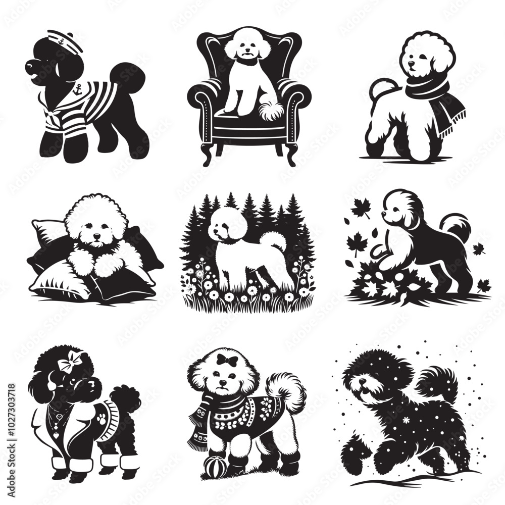 Obraz premium Set of Bichon Frise Dog vector illustration - Bichon Frise Dog Different Activities Clipart Design