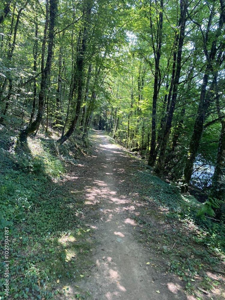 Fototapeta premium Lac de la Vouraie vendée