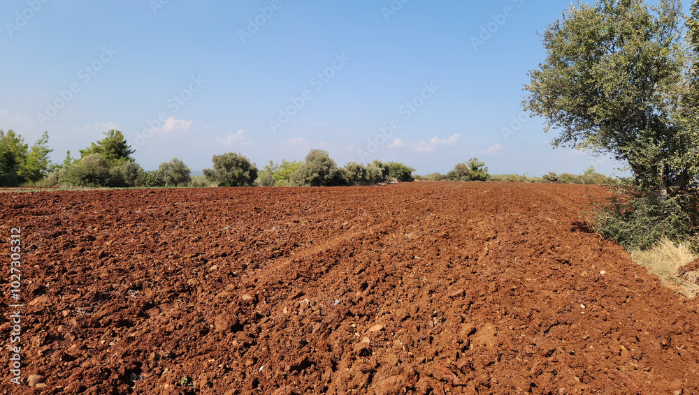 A red soil field ploughed for planting winter wheat in Octobe A red soil field ploughed for planting winter wheat in Octobe