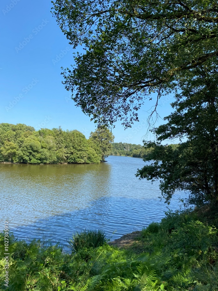 Obraz premium Lac de la Vouraie vendée