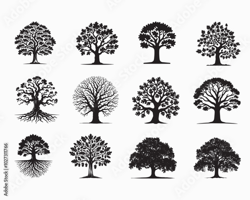 Collection of Oak Plant vector illustration -  Oak Tree Silhouettes Clipart Design
