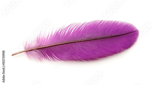 Close-up of a single purple feather isolated on a white background, showcasing intricate details and texture.