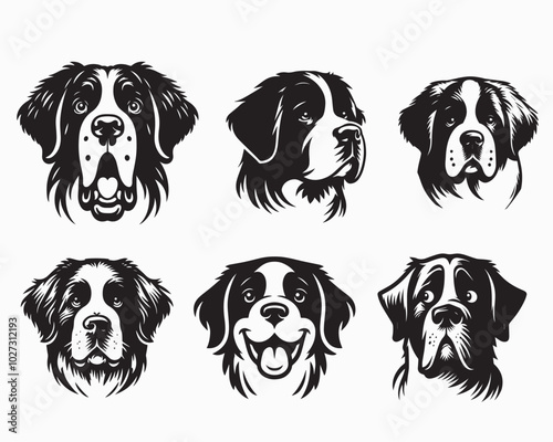 Collection of Saint Bernard Dog Face vector illustration - Saint Bernard Dog clipart Design in black and white
