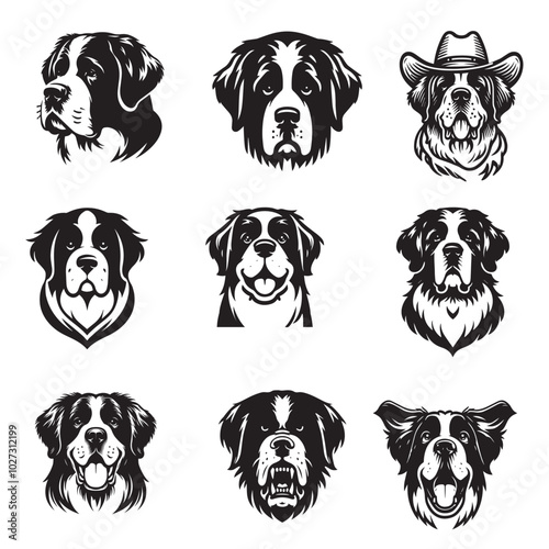 Collection of Saint Bernard Dog Face vector illustration - Saint Bernard Dog Logo Design 
