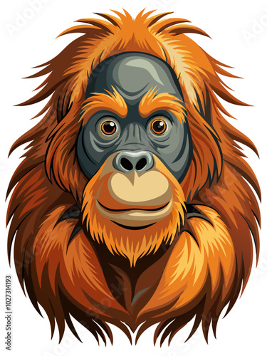 orangutan illustration - vector illustration orangutan, Sumatran orangutan