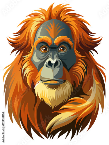 illustration of a orangutan, Sumatran orangutan vector art isolated on white