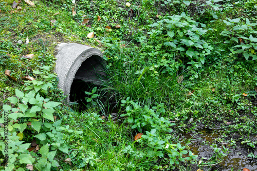 A drainage ditch with a concrete pipe under a dirt road overgrown with grass.