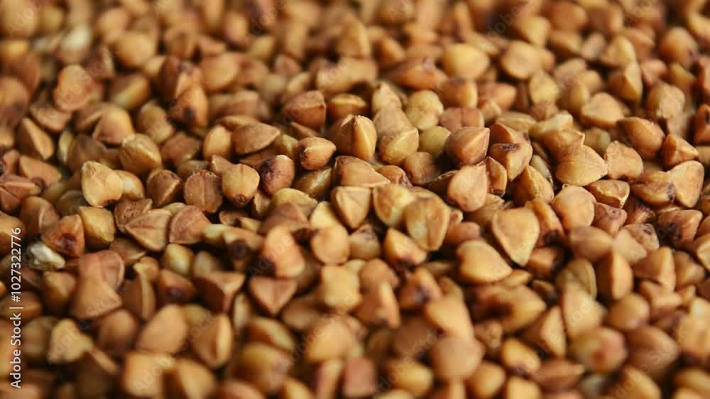 Buckwheat porridge rotates, side view. Slow rotation.