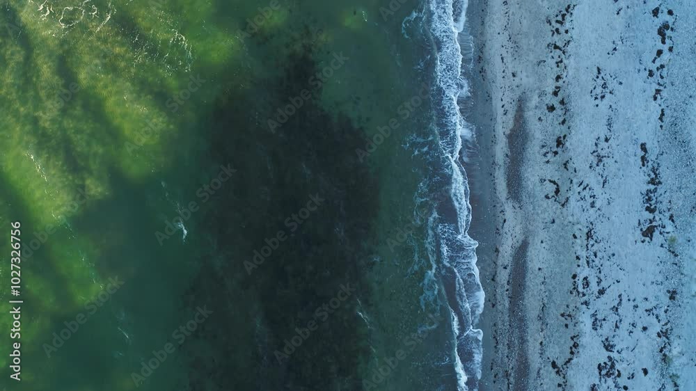 Drone moving slowly forwards over a desolate, remote beach on a cold February morning. There are people walking on the beach with their dog. The camera is facing down Drone moving slowly forwards over a desolate, remote beach on a cold February morning. There are people walking on the beach with their dog. The camera is facing down