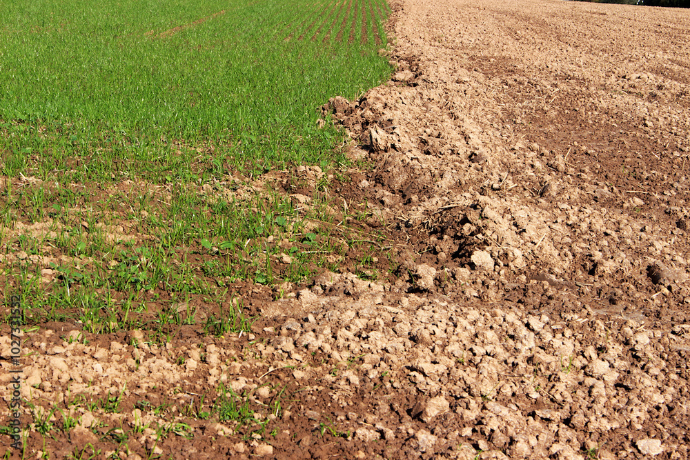Field. An image of a sown field in early autumn. Field. An image of a sown field in early autumn.