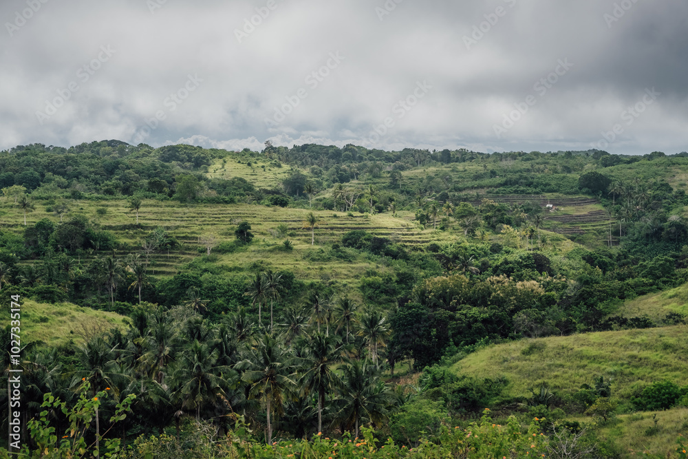 Discover the inland areas covered of green vegetation Discover the inland areas covered of green vegetation