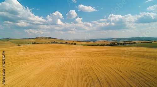 Aerial view of vast golden wheat fields arranged in a patchwork pattern, with rolling hills and fluffy clouds under a blue sky, capturing the beauty of a rural landscape.