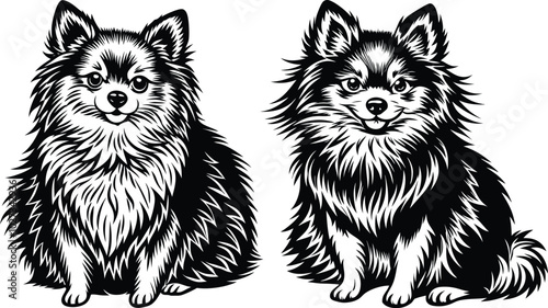 Portrait of a Pomeranian Dog Vector isolated on white background Dog Silhouettes.