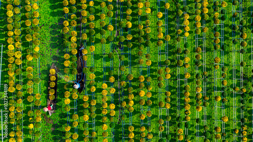 Watering flowers in Sadec flower village photo