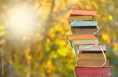 stack of books and autumn colored trees background, inspiration,reading, education, autumn holiday read,book fair and literature  concept. photo