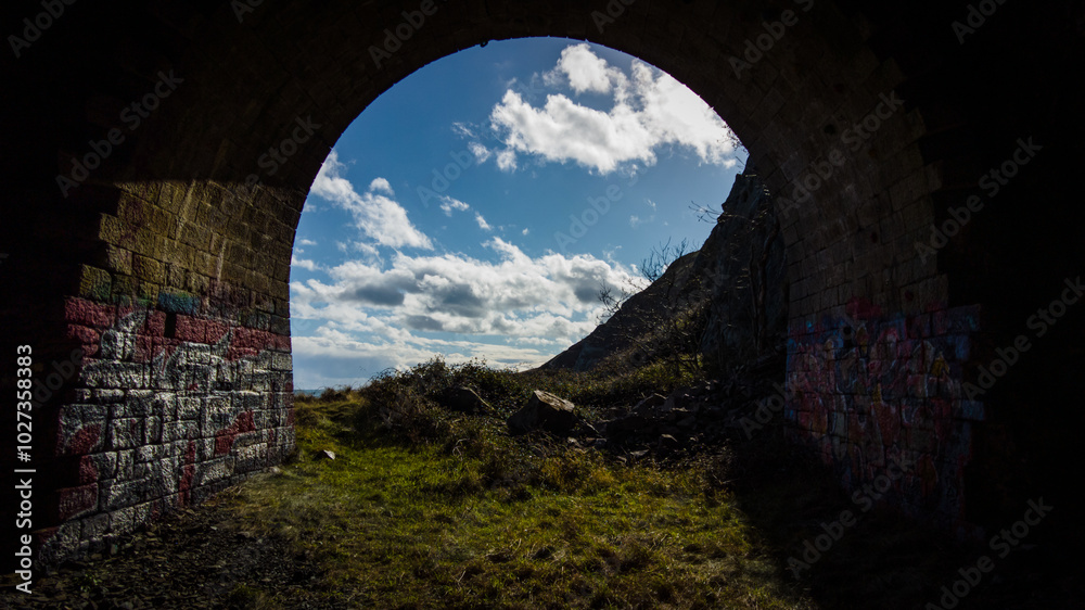 Obraz premium Graffitied 1800s Train Tunnel