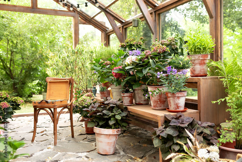 Fototapeta Naklejka Na Ścianę i Meble -  Interior of a wooden greenhouse with furniture, plants and flowers in pots at backyard. Home gardening. Garden with glasshouse with chair with palette with paints, brushes and tools of artist stand