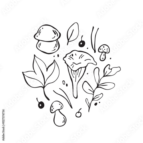 Hand drawn forest illustrations. Outline black vector mushroom elements 