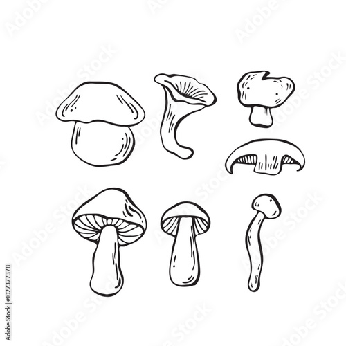 Hand drawn vector mushrooms set. Outline black vector forest elements 